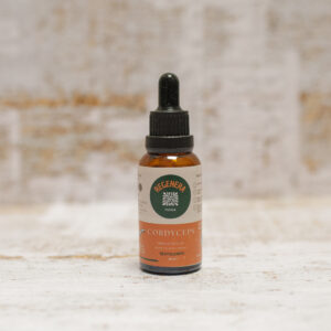 Hongos Adaptógenos - Cordyceps – Regenera